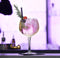 Royal Leerdam Specials Gin & Tonicglas - 60 cl - 6 Stuks