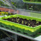 ROYAL WELL Alu Sower 200 X 32,5 cm, blank