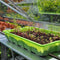 ROYAL WELL Alu Sower 250 X 32,5 cm, blank