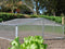 Royal Well Broeikas Silver Thyme