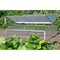 Royal Well Broeikas Silver Thyme