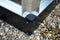 Royal Well - Fundering Gartner 18,8 zwart Royal Well