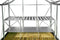 ROYAL WELL Maxi Grower 185 - 185 x 60 x 75 cm, blank