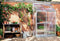Royal Well Muurkas Mini 2 Polycarbonaat