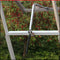 Royal Well - Raamopener Spiro RVS