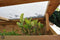 Royal Well Schermgaas 5 x 1,8 meter