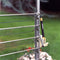 Royal Well Tuinkas Royal Well - Raamopener Louvre RVS