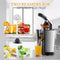 Royalty Line® CPE85 Citruspers Electrisch - Sinaasappelpers Elektrisch - Citrusjuicer Met 2 Perskegels - Citroenpers - RVS / Zwart