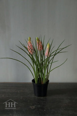 Roze druifjes - muscari - 23cm - roze - potje - druifjes - kunstplant - kunstbloemen - voorjaar