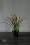 Roze druifjes - muscari - 23cm - roze - potje - druifjes - kunstplant - kunstbloemen - voorjaar
