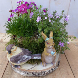 Roze voorjaarsplantjes op houten schijf 30 cm diameter