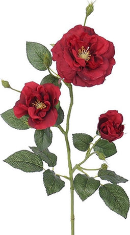 Rozentak red