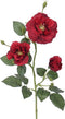 Rozentak red