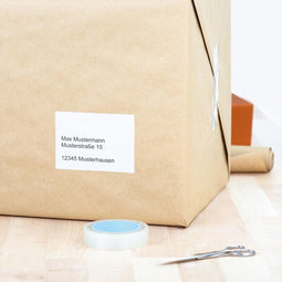 HERMA 10831 adreslabels