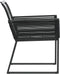 vidaXL - Tuinstoelen - 2 - st - poly - rattan - zwart