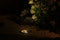 Garden Lights: Rubum Plus Grondspot 12 Volt - Zwart