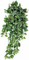 Mica Decorations Scindapsus Kunst Hangplant - L15 x B30 x H80 cm - Groen