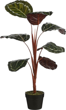 Mica Decorations Kunstplant Calathea - 60x60x90 cm - Poly - Groen