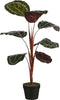 Mica Decorations Kunstplant Calathea - 60x60x90 cm - Poly - Groen
