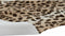 Tapijt DKD Home Decor Zwart Oranje Koloniaal Jungle 30 x 40 cm 60 x 90 x 2 cm