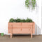 vidaXL - Plantenbak - verhoogd - 101x50x57 - cm - massief - douglashout