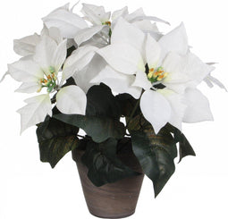 Decoratieve plant Wit PVC (27 X 35 CM)