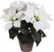 Decoratieve plant Wit PVC (27 X 35 CM)