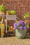 Mica Decorations Rio - Bloempot voor Buiten - H41 x Ø45 cm - Groen