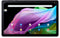 Acer Iconia Tab P10-21Q-83XL - Tablet - 10,4