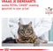 Royal Canin Veterinary Diet Cat Hypallergenic - Kattenvoer - 2.5 kg