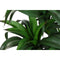Decoratieve plant Home ESPRIT Hars Polyethyleen 50 x 50 x 102 cm