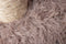 Beeztees Duco - Krabpaal - 4 ligplekken - Taupe