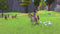 Barbie - Horse Trails - Nintendo Switch - Kids avontuur (2025)