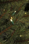 Black Box Finest Premium Kunstkerstboom - 320LED warmwit - H230xØ155