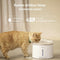 Revo-loo Stream - Drinkfontein Kat - 1.7 L - UVC Sterilisatie - Fluisterstil - 3 Filterlagen
