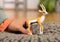 schleich WILD LIFE Thomson Gazelle - Speelfiguur 14861