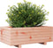 vidaXL - Plantenbak - 70x40x26,5 - cm - massief - douglashout