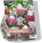 Baltus - Urban Flowers Spring Feelings per 15 bloembollen