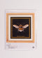 Thea Gouverneur - Borduurpakket met telpatroon - Hommel - 2 - Aida zwart - 14 counts - Voor volwassenen - 3018.07