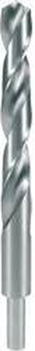 RUKO 2004120 HSS-G Spiraalboor 12 mm Gezamenlijke lengte 151 mm DIN 338 1 stuk(s)