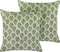 RUNGIA - Sierkussen set van 2 - Groen - 45 x 45 cm - Fluweel