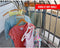 Runlock 254 Luskabel rekbaar Lineup 7m 0.4 cm x 700 cm 1 stuk(s)