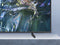 Samsung QLED Q60D - Ultra HD TV - 65