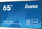 Iiyama ProLite LH6541UHS-B1AG - 65