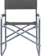 vidaXL - Regisseursstoelen - 2 - st - staal - grijs