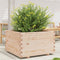 vidaXL - Plantenbak - 80x80x49,5 - cm - massief - grenenhout