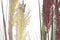 Decoratieve plant Home ESPRIT PVC Polyethyleen 35 x 35 x 120 cm (2 Stuks)