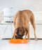 Slo Bowl Fun Feeder Voerbak - M - Oranje - Ø 28 cm