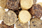 Snurk miniburgers mix zalm/schelvis/kabeljauw/tonijn - Default Title