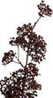 PTMD Leaves Plant Viburnum Kunsttak - 44 x 16 x 87 cm - Wijnrood